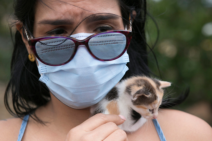 Daniela Daza lleva cinco años junto con su hija rescatando a los perros y gatos abandonados. / Foto: Juan Pablo Cohen