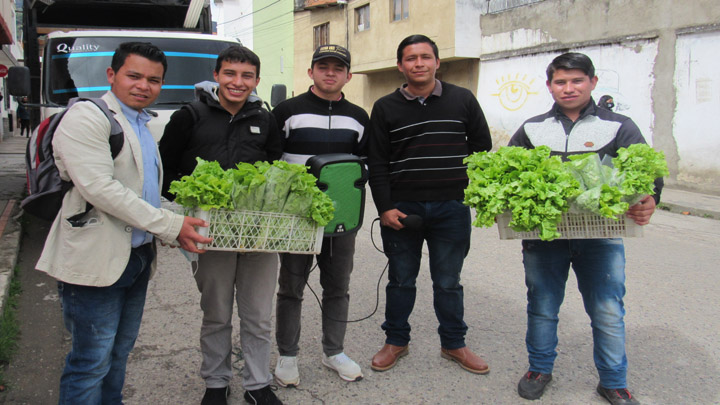 El equipo con las canastas de lechuga.