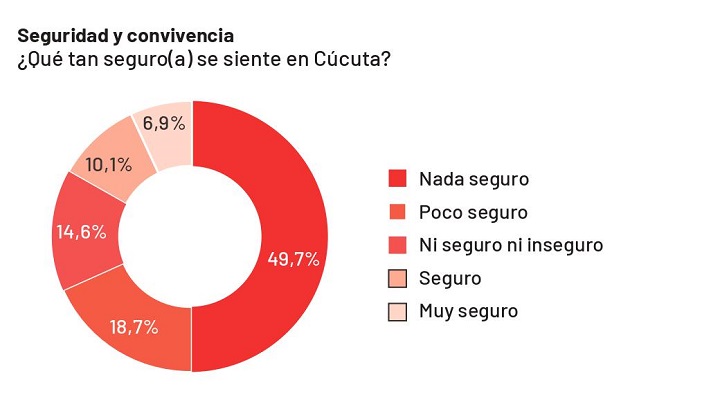 Las autoridades insisten en que el tema de la seguridad no es solo de la Fuerza Pública, sino que es un trabajo de todos los ciudadanos. / Gráfico: La Opinión 