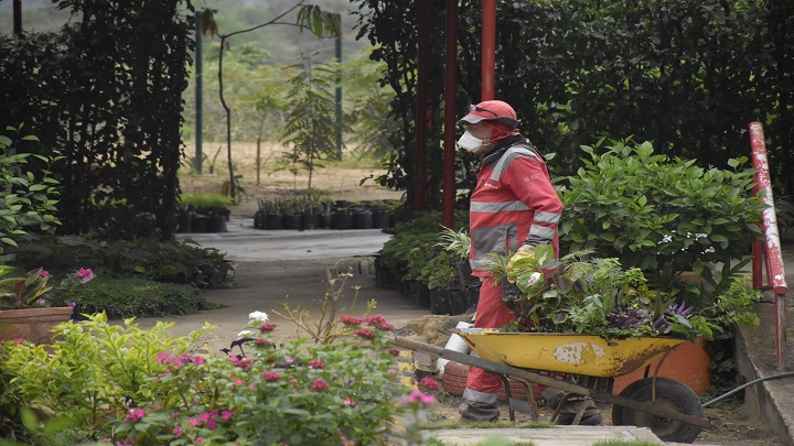 Zona del vivero. / Foto: Pablo Castillo / La Opinión 