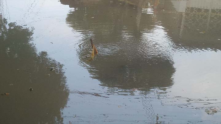 La calle se inundó el fin de semana. 