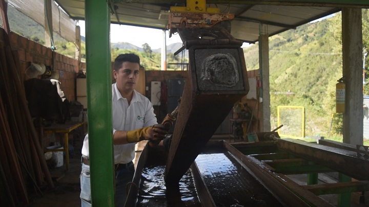 Al año se gastan 400 litros de agua para el proceso. / Foto: Pablo Castillo / La Opinión 