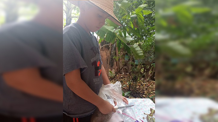 También los niños hicieron alusión a los granjeros ecológicos./Foto: cortesía