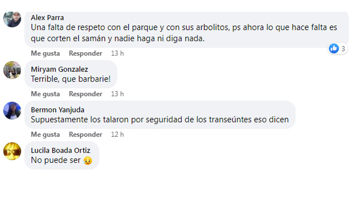La administración municipal indicó que la tala fue concertada 