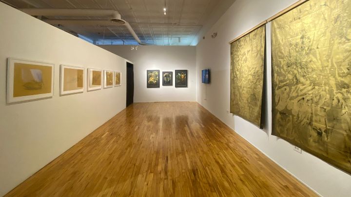 15 Artistas y colectivos colombianos estarán en la exposición. / Foto: Cortesía / La Opinión 