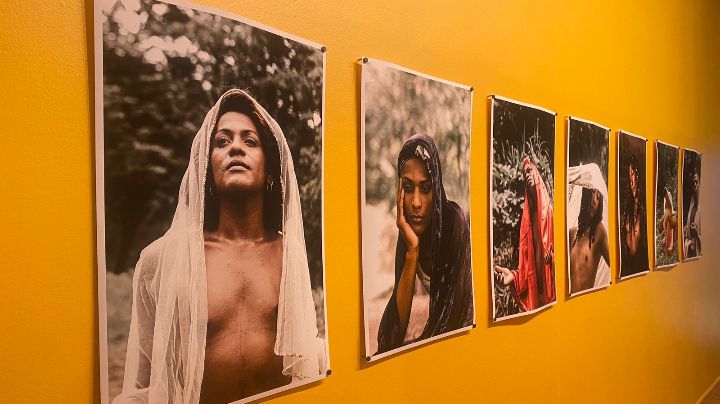 Obra del Colectivo Antónima: Vírgenes del monte. 