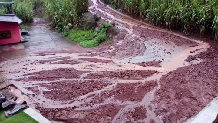 El caudal del río La Arenosa en el estado Táchira aumentó por las fuertes precipitaciones en el municipio Panamericano, dejando afectaciones en la carretera principal.