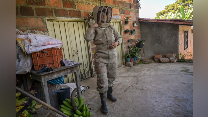 Apicultura colombiana