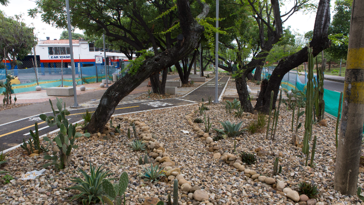 Así avanzan la obra de embellecimiento en El Malecón. 