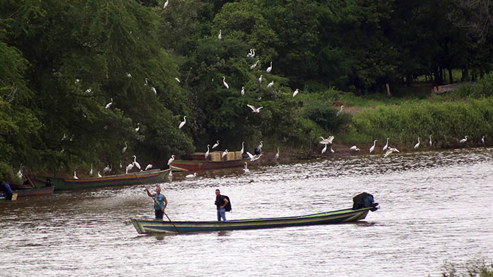 La Unión