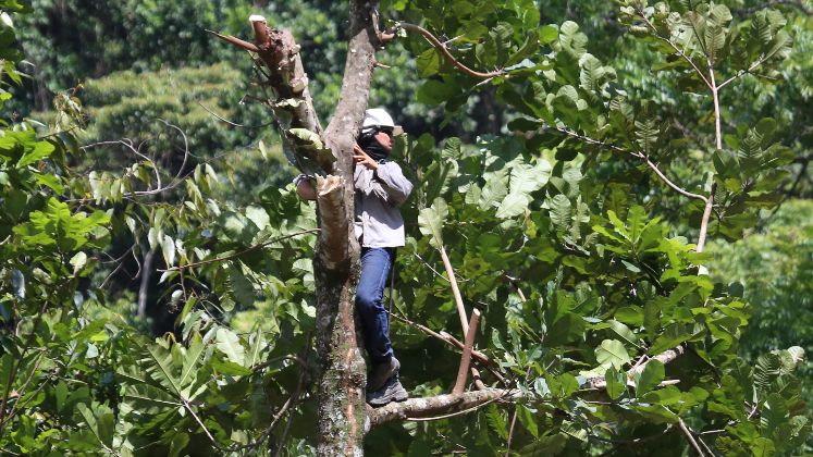 A muchos no les llegó el aviso, porque el río ya se había llevado varias cuerdas eléctricas dejándolos sin luz.  / Foto: Carlos Eduardo Ramírez / La Opinión 