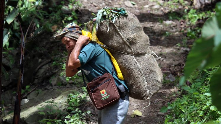Los habitantes de San José de Castro esperan más ayudas del departamento. / Foto: Carlos Eduardo Ramírez / La Opinión