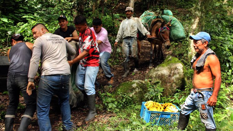 Los habitantes de San José de Castro no se rinden. Abrieron paso por la montaña para llegar al otro lado que los comunica con Arboledas. / Foto: Carlos Eduardo Ramírez / La Opinión 