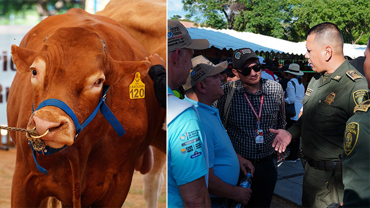 Los secretarios de Desarrollo Social de Cúcuta, Leonel Rodríguez (camisa azul), y de Agricultura de Norte de Santander, Dany Alexander Cañas (camisa de cuadros), destacaron los logros de la feria./ Fotos Cortesía