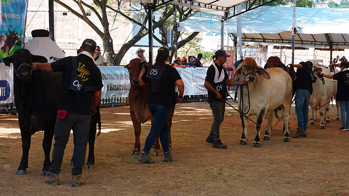 500 empleos, paroximadamente, generó la feria, que se realizó del 30 de noviembre al 1 de diciembre. / Foto Cortesía