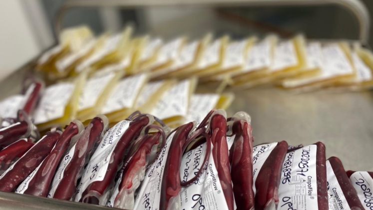 Las diferentes entidades adelantan acciones para promover la donación de sangre en la región