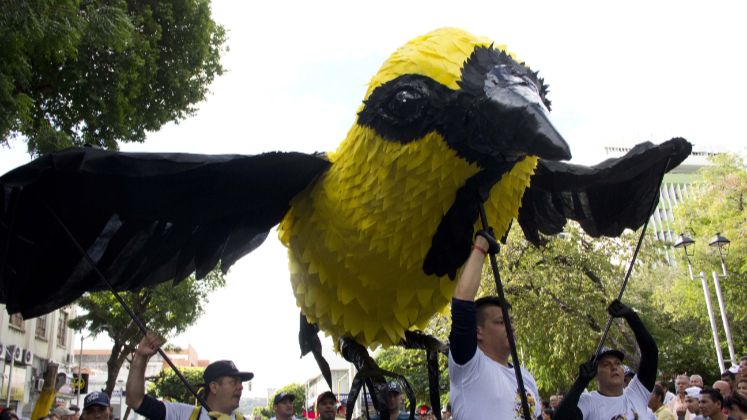 Entre las principales novedades figura el diseño de las carrozas, que este año estarán inspiradas en las aves nativas del territorio - Fotos Cortesía.