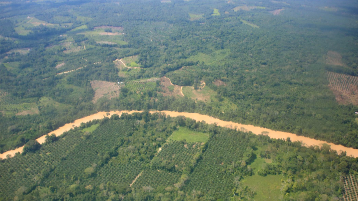 Panorama de la selva del Catatumbo. 