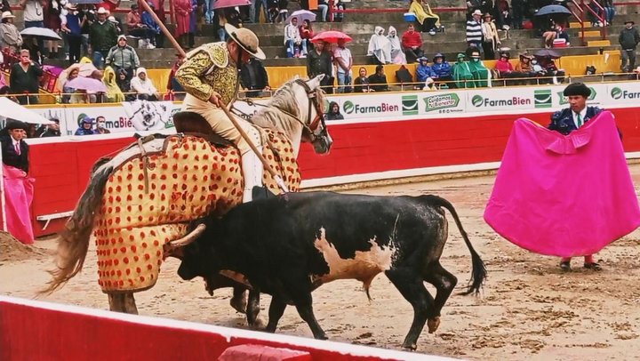Imagen eliminada.