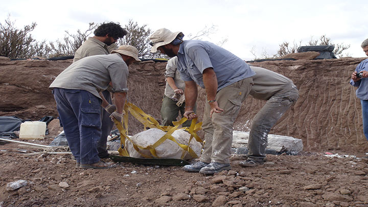 Dinosaurio en Argentina