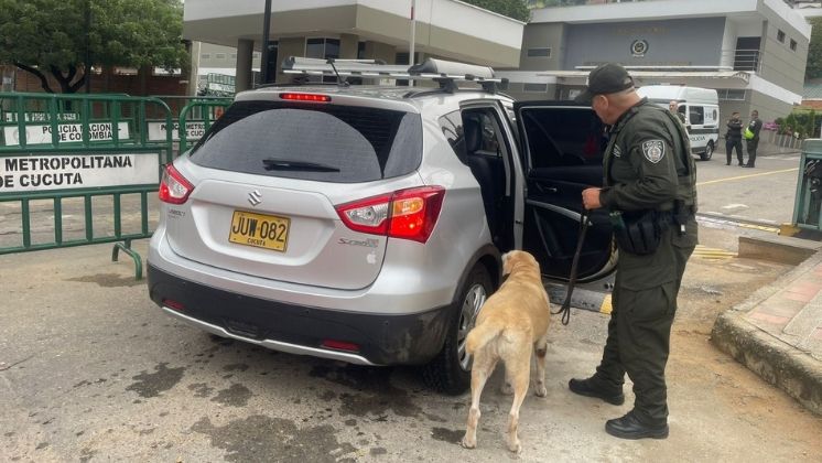 Estrella: la guardiana silenciosa que enfrentó el riesgo