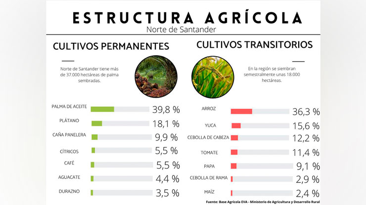 Imagen eliminada.