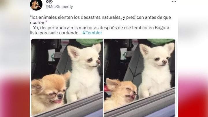 Imagen eliminada.