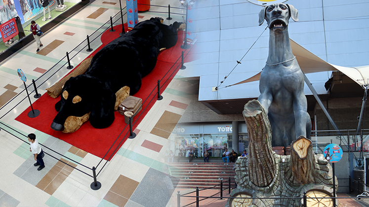 Super Mascotas en Ventura Plaza