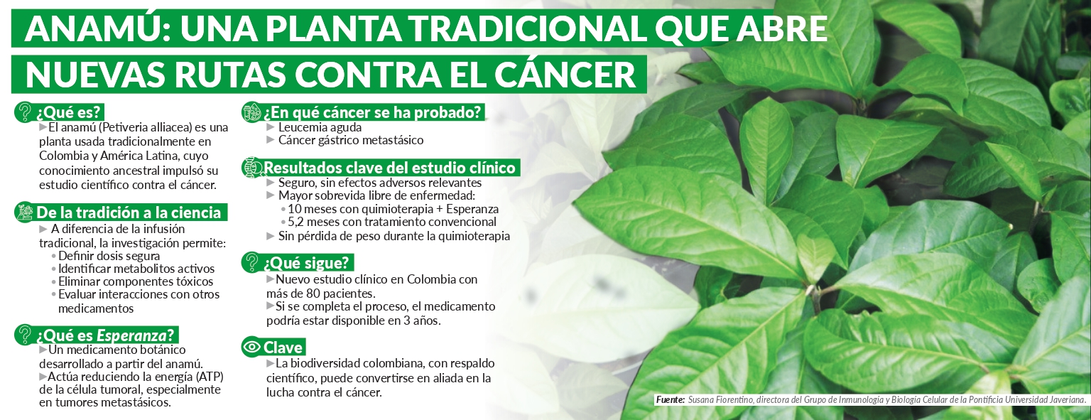Imagen eliminada.