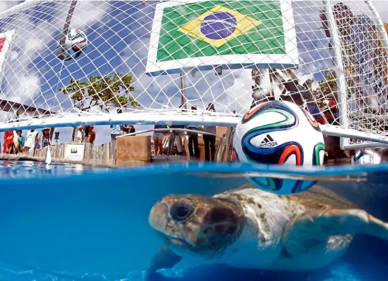 TORTUGA