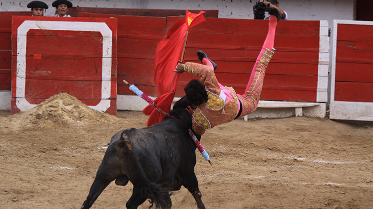 Imagen eliminada.