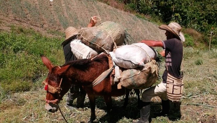 Agro