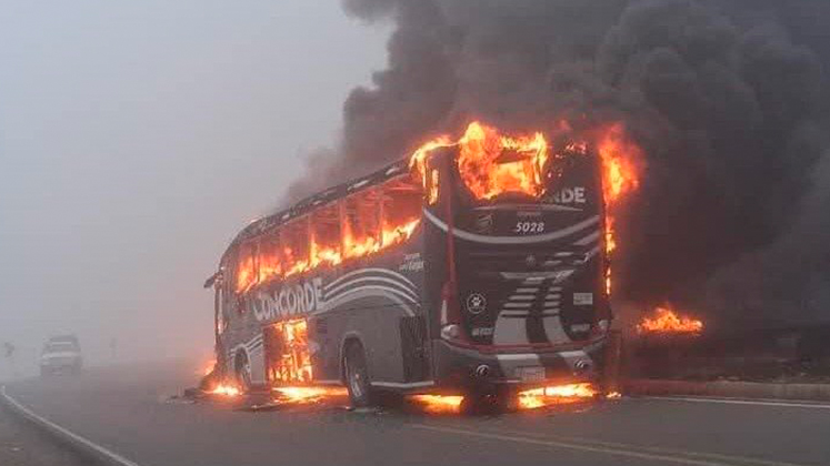 bus