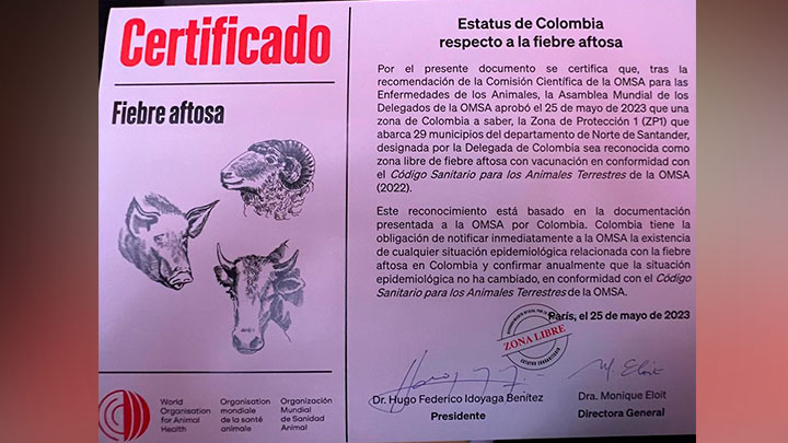 Imagen eliminada.