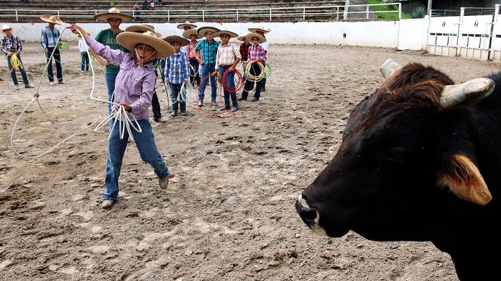Imagen eliminada.