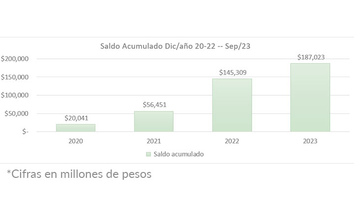Imagen eliminada.