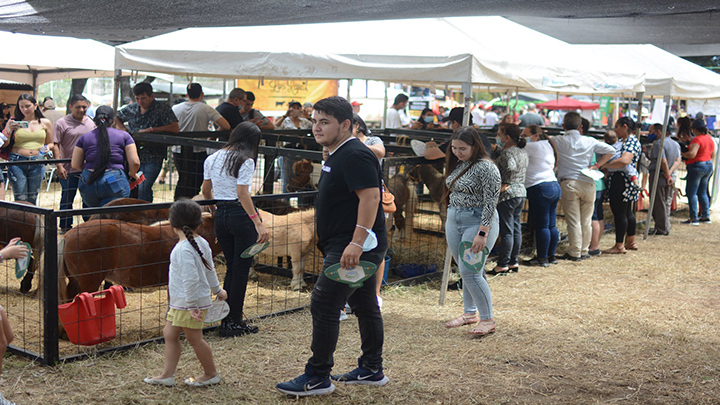 Exitosa versión de la Feria Agropecuaria y Equina Cúcuta 2022./Foto: cortesía