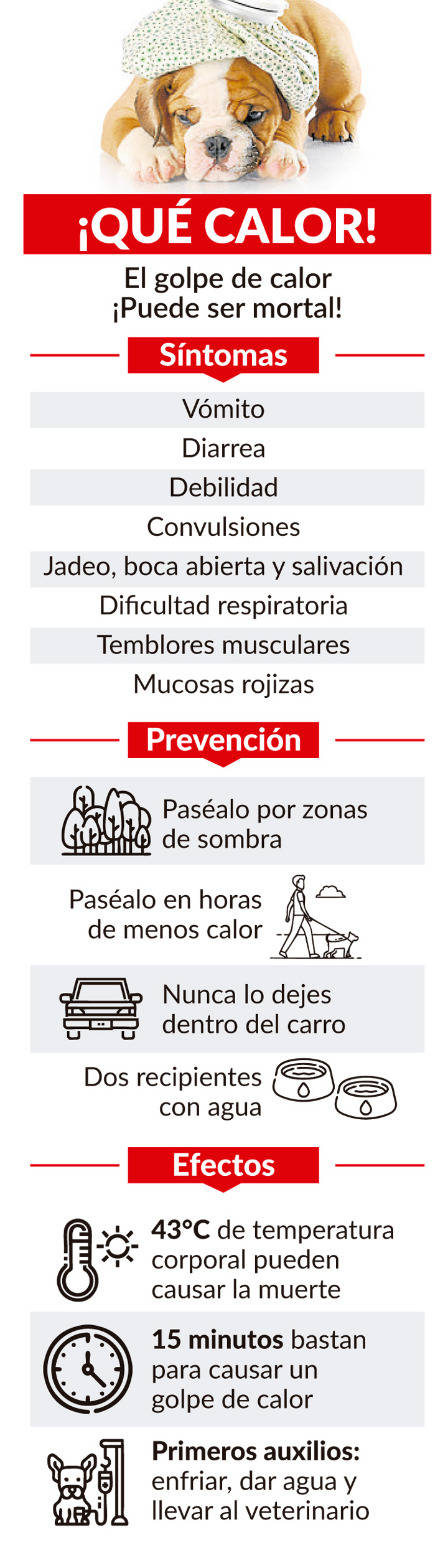 Imagen eliminada.
