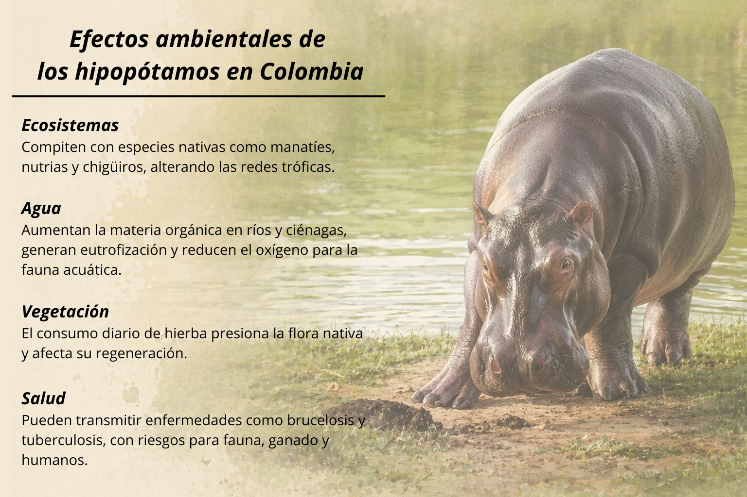 Imagen eliminada.