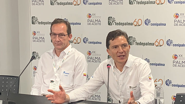 Imagen eliminada.