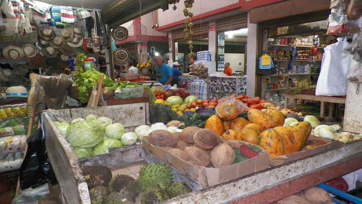 Alimentos