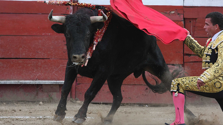 Imagen eliminada.