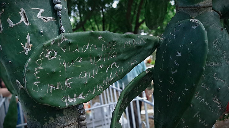 Imagen eliminada.
