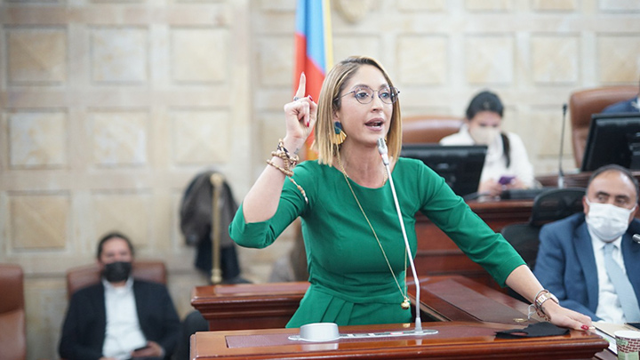 El duro debate que generó el plagio de Arias en la plenaria de la Cámara