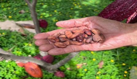 Actualmente hay 60 asociados y elaboran  diferentes productos./ Fotos: Cortesía 