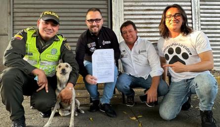 Antecedentes de animales