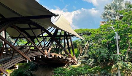 Puente de Guadua