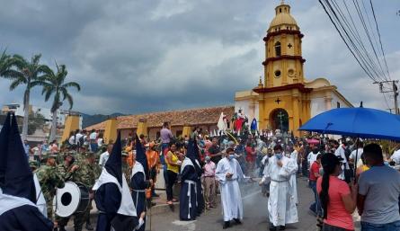 Palma Areca y Reina son algunas de las especies forestales que se entregarán. / Fotos: Cortesía