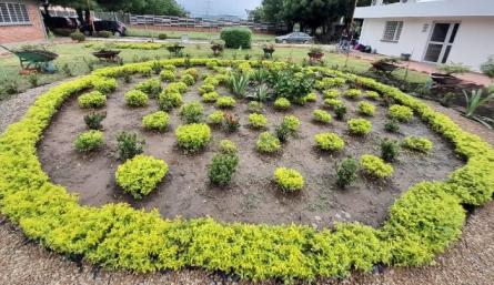 Desde el programa de Ingeniería Agronómica de la UFPS. /Foto: La Opinión 