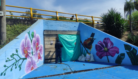 Grafitis Puente de Guadua